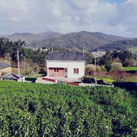Casa Familiar Con Finca Privada Viveiro Exterior foto